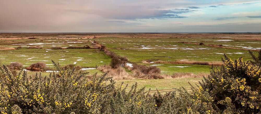Blakeney Freshes