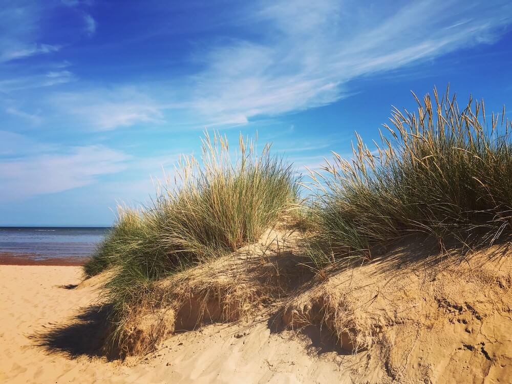 Holkham Nature Reserve