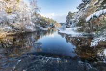 WInter walks