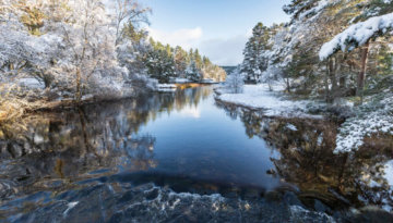 WInter walks