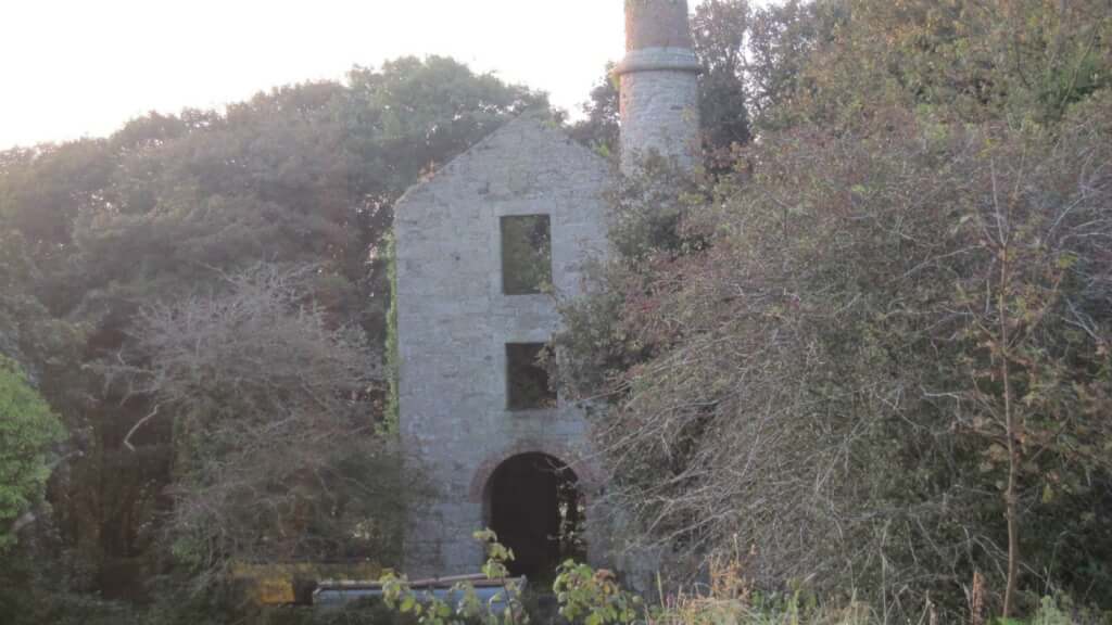 Porkellis Moor