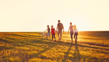 Five best dog friendly walks