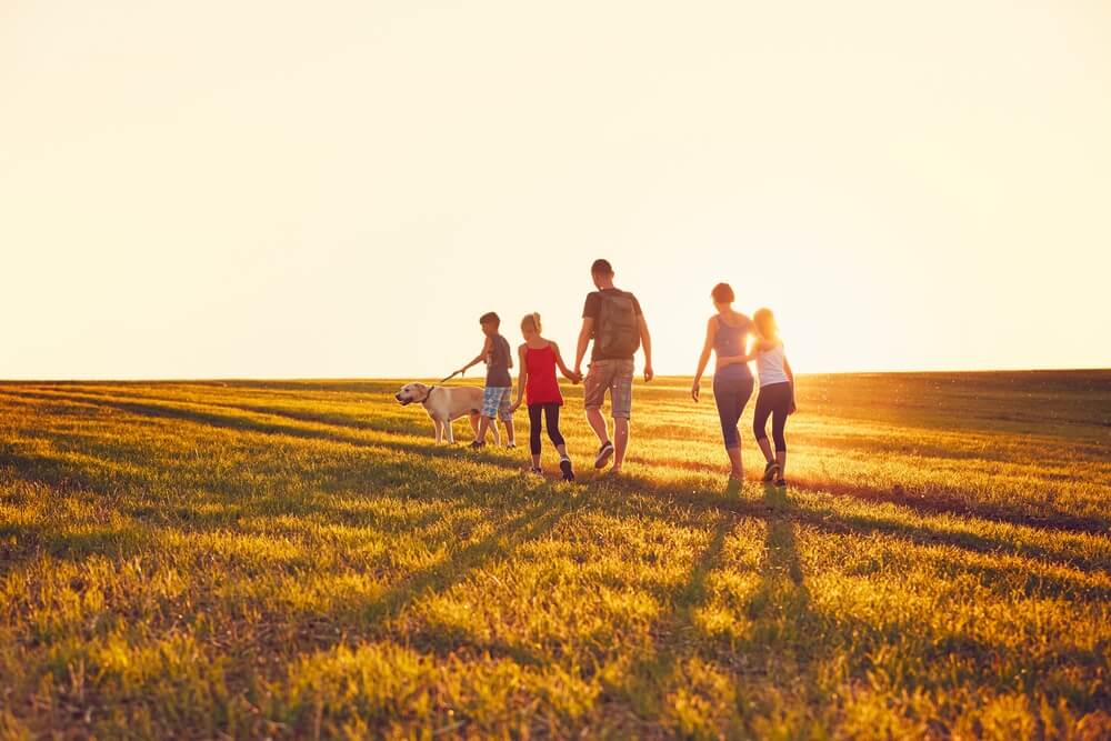 Five best dog friendly walks